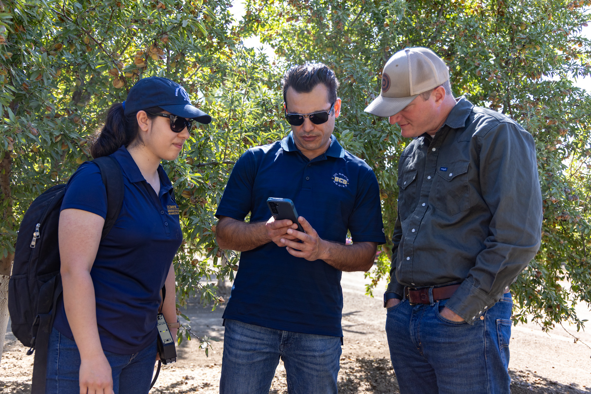 Parastoo Farajpoor, Ph.D. student in biological systems engineering, left, and Alireza Pourreza, assistant professor of cooperative extension in biological and agricultural engineering, show the real-time spectrometry data to Geoff Klein, irrigation manager at Bullseye Farms. (Mario Rodriguez/UC Davis)