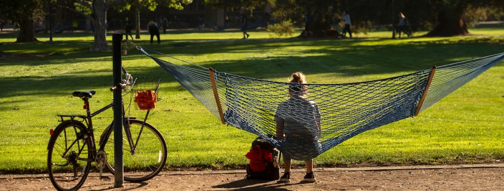 A student sits on a hammock next to a bike on UC Davis campus. 