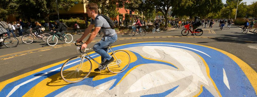 Students navigate the UC Davis bike circle with a painted Gunrock mascot on it. 