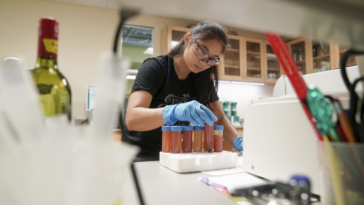 photo of student working in lab with wine samples