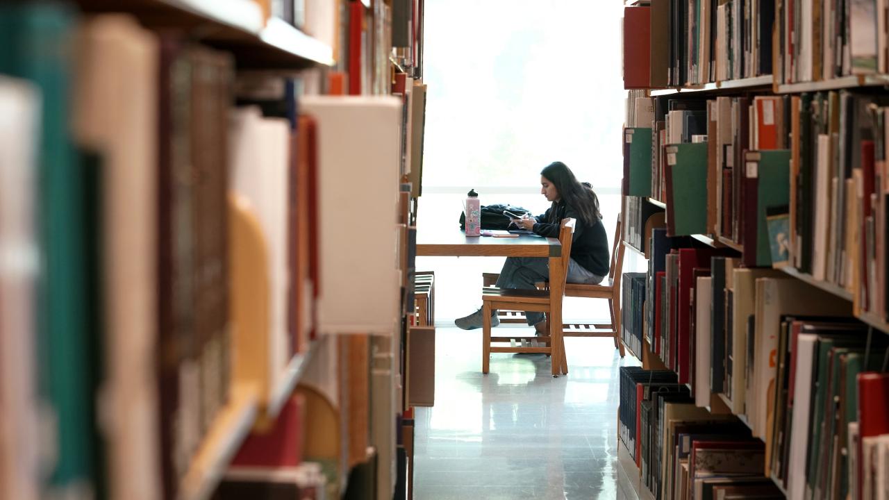 student studies in the library