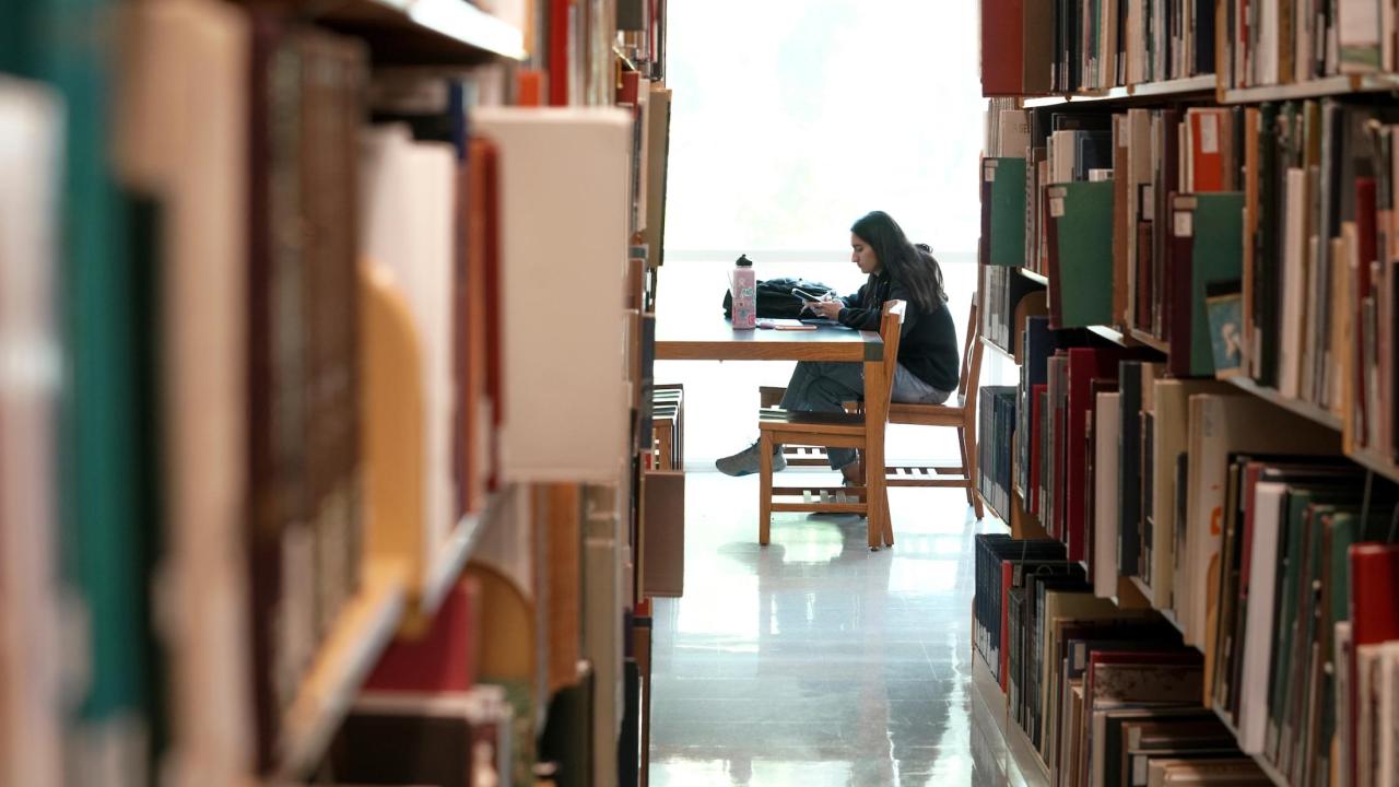 student studies in the library