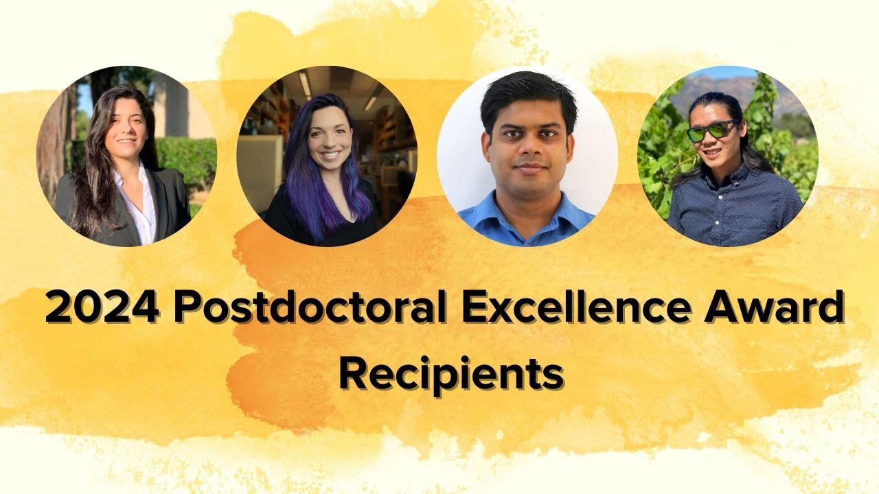 Four diverse postdoctoral award recipients shown in individual portraits, with the text "2024 postdoctoral excellence award recipients" displayed on a yellow watercolor brush strokes background.