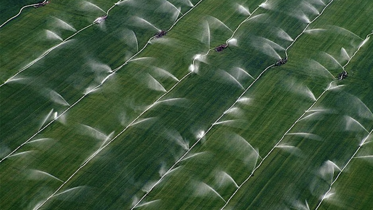 Innovations in Agriculture and Food Systems