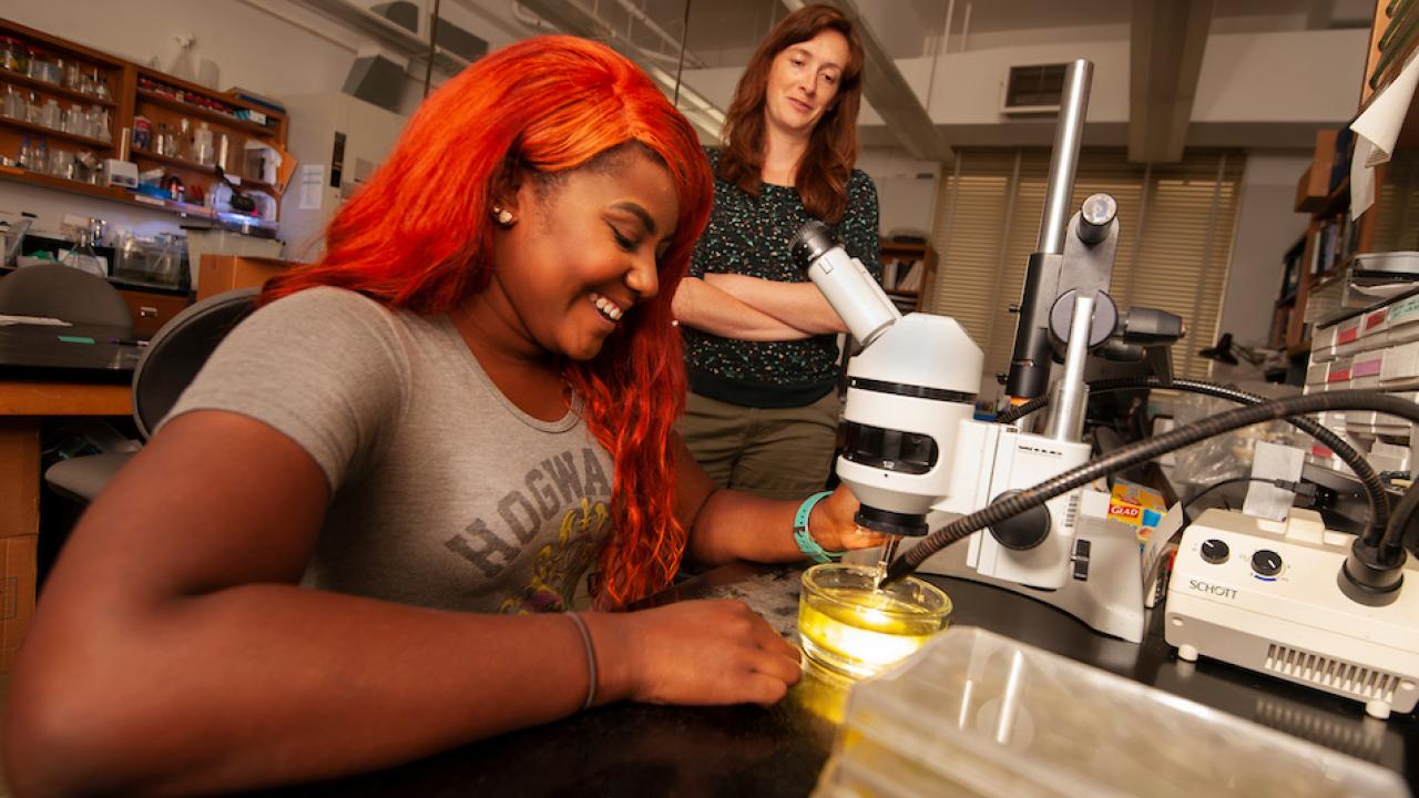 A student conducts research at a microscope while a professor stands, overlooking her work. 
