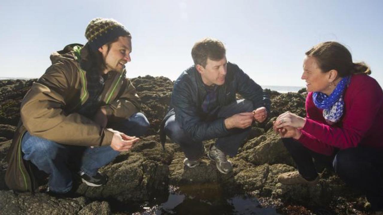 Mentor and mentees crouching at Bodega Marine Lab