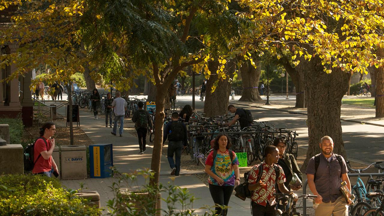 UC Davis students walking on campus with their bikes in autumn.