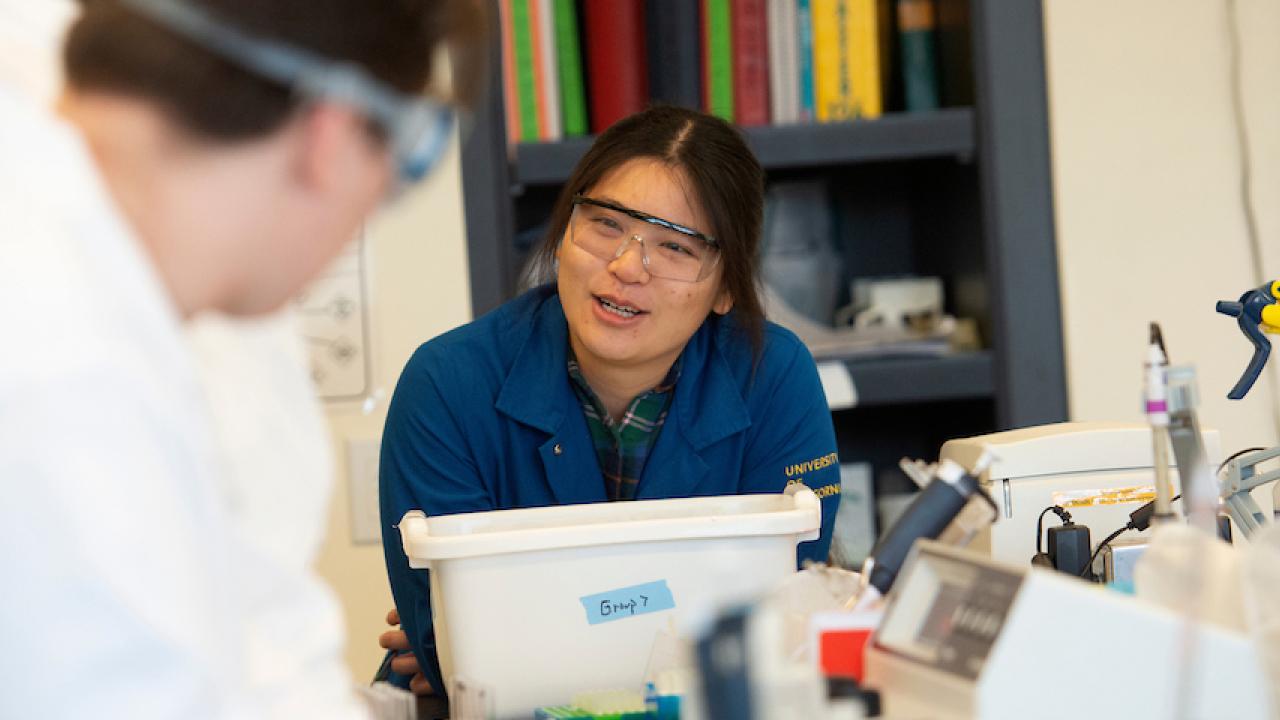 Kathleen Luo, a PhD candidate for agriculture and environmental chemistry, talks to student about the results they are looking for in their tea lab  during the Food Analysis Lab for Food Science in the Robert Mondavi Institute on January 20, 202