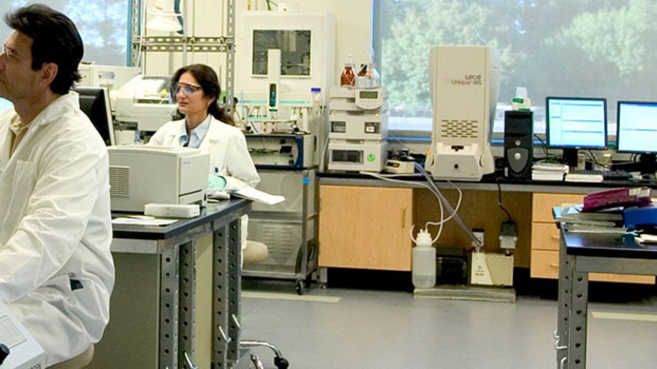 Graduate students in a laboratory at UC Davis