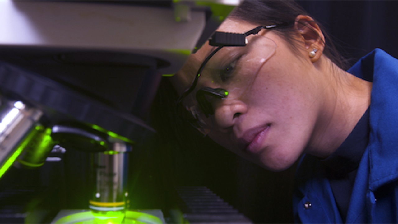 UC Davis graduate student Amanda Dang conducting research