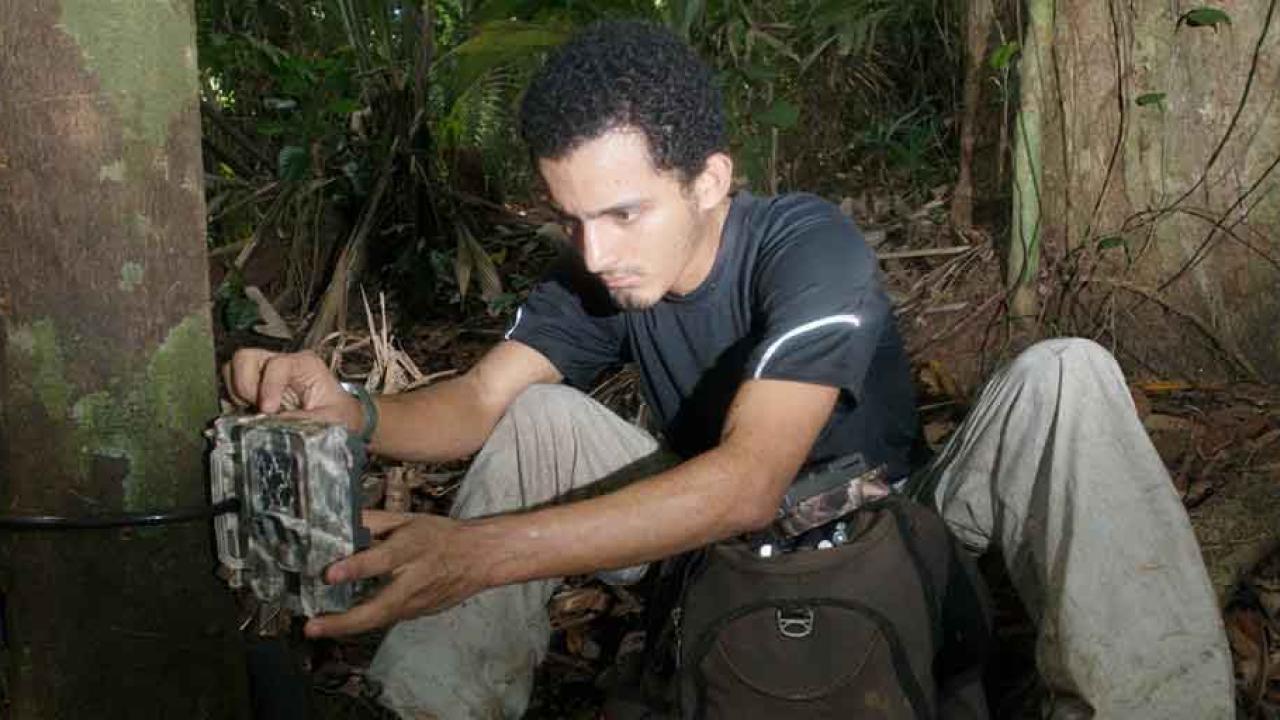 Claudio Monteza-Moreno spent his adolescence exploring the ecosystem behind his childhood home in Panama. These experiences opened his mind to science and eventually brought him to UC Davis. Today, he’s a student in the Animal Behavior Graduat