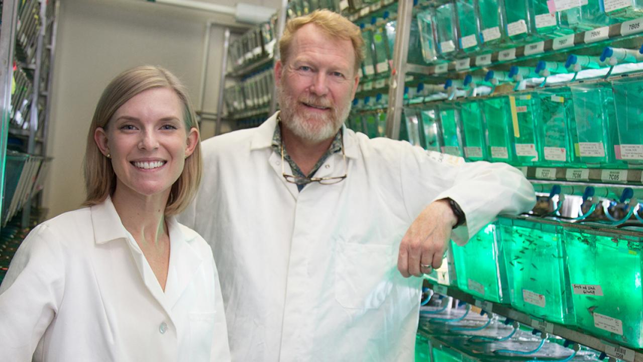 NIH T32 predoctoral training grant recipient Dena Leerberg, '17 Ph.D., and Associate Professor Bruce Draper, Department of Molecular and Cellular Biology, study reproductive development in zebrafish. (David Slipher/UC Davis)