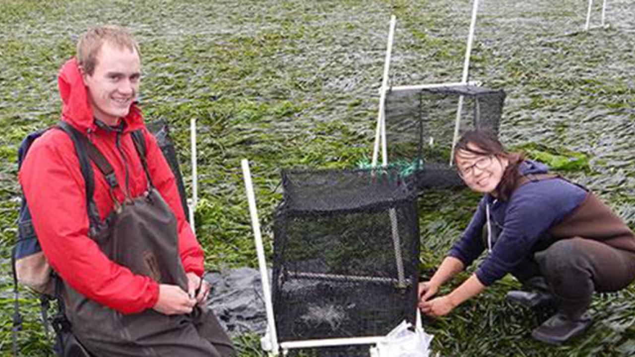 UC Davis graduate student Grace Ha at Bodega Bay