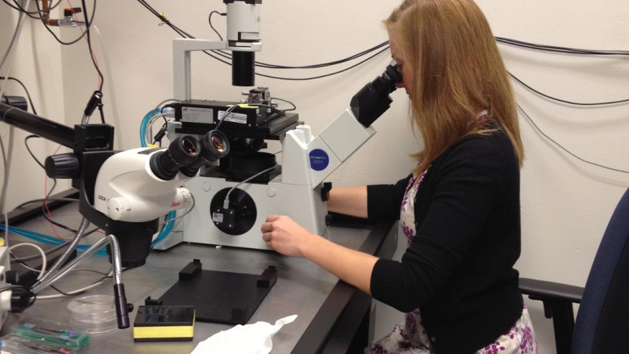 Kristina is examining a very small piece of heart tissue that she has tied between a force transducer and a motor to measure force production and rate of contraction