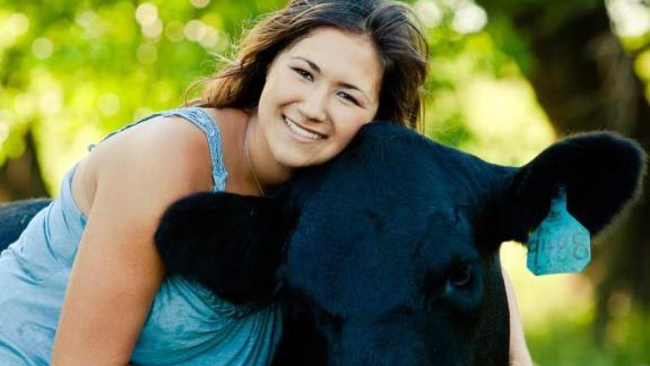 Maci with a cow