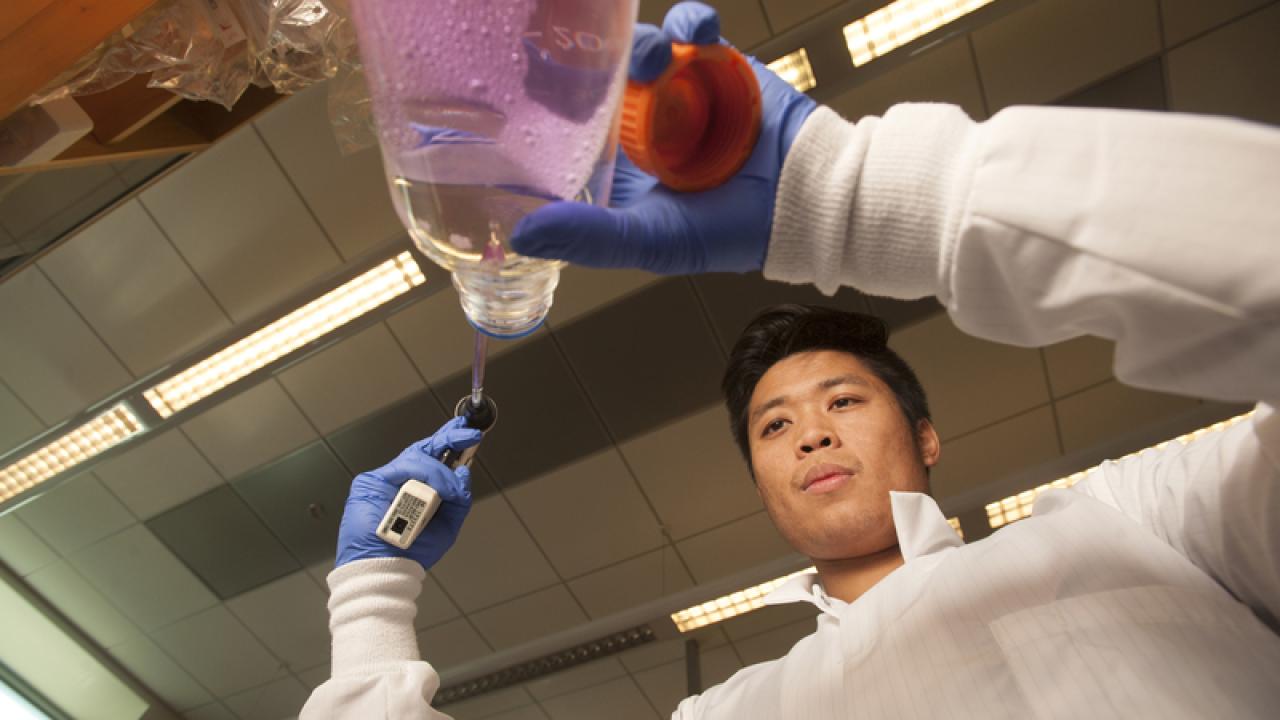 UC Davis student in lab