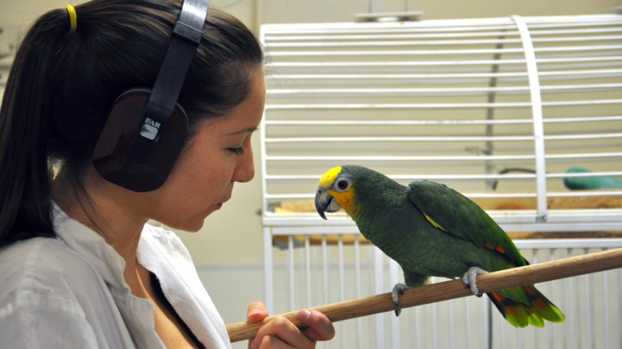 Shannon Murphy holding a parrot