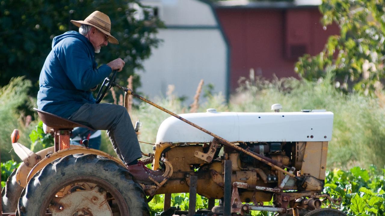 UC Davis community member on tractor in a farm