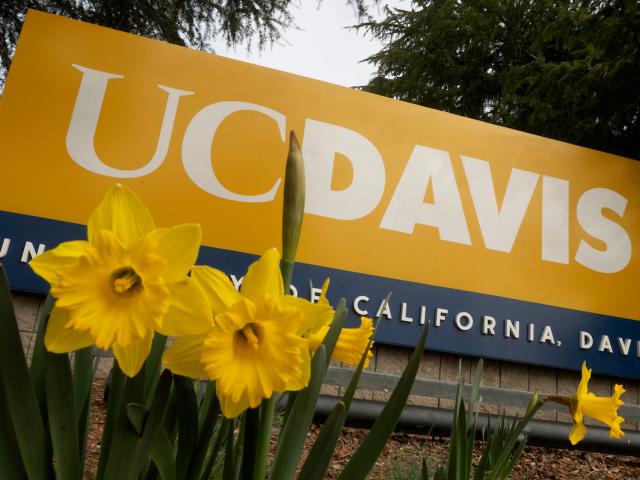 UC Davis sign