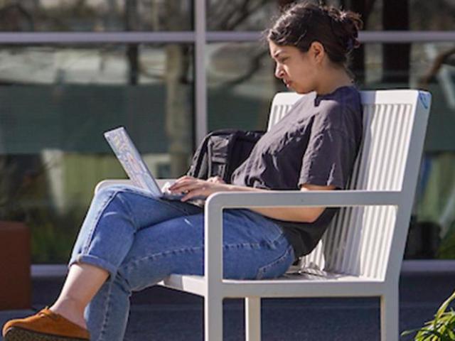 Student sitting on a bench and reading on a computer.