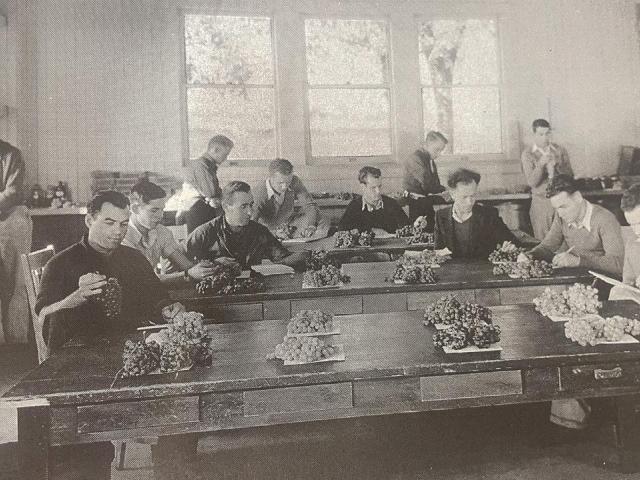 A viticulture class at UC Davis, circa 1925 (Courtesy)