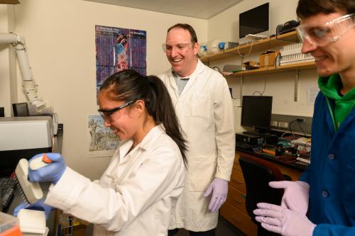 Associate Professor Justin Siegel with two students are working in a lab 