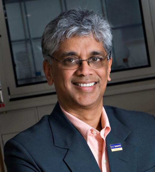 Man of Indian descent with grey hair smiles at camera. He is wearing glasses, pink collared shirt and blue sport coat.