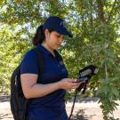 Project lead Parastoo Farajpoor, a Ph.D. student in biological systems engineering, uses a spectrometer to measure the nutrient levels in an almond tree leaf. (Mario Rodriguez/UC Davis)