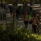 UC Davis students walking on campus