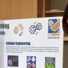 UC Davis graduate student Divya Kernik in front of a scientific poster