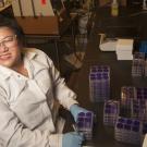 UC Davis graduate student Irene Yim in the lab