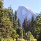 El Capitain - scenic photo of mountain with trees