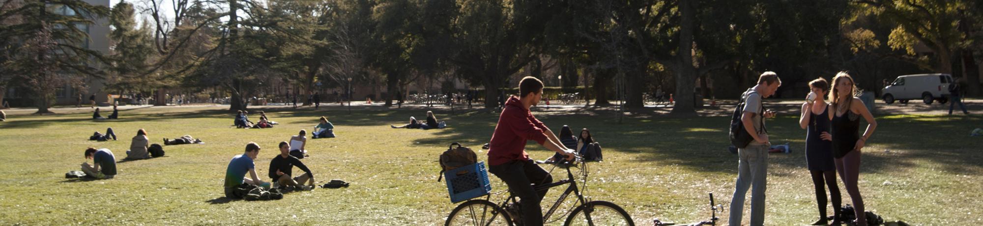 UC Davis students on the quad