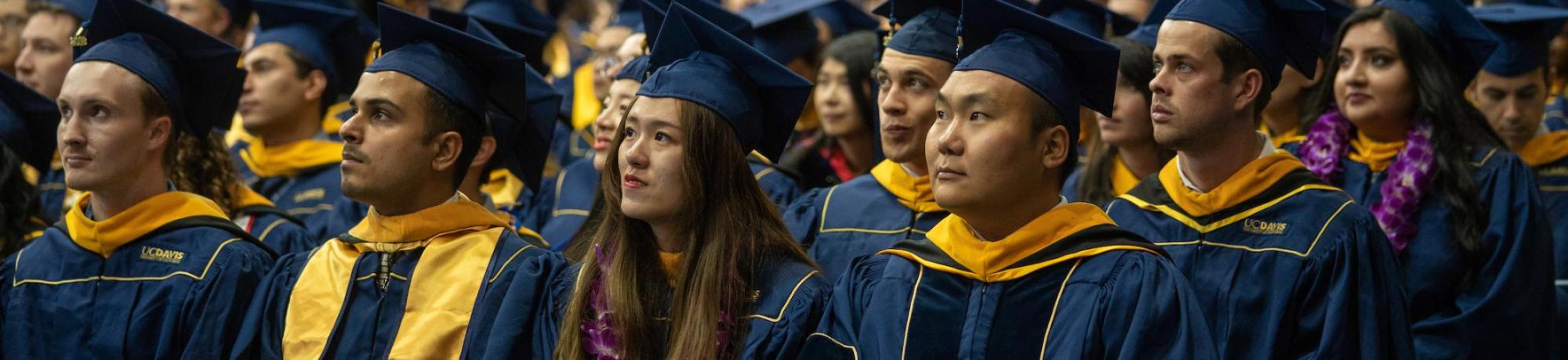 Students wearing academic regalia at the UC Davis commencement ceremony. 