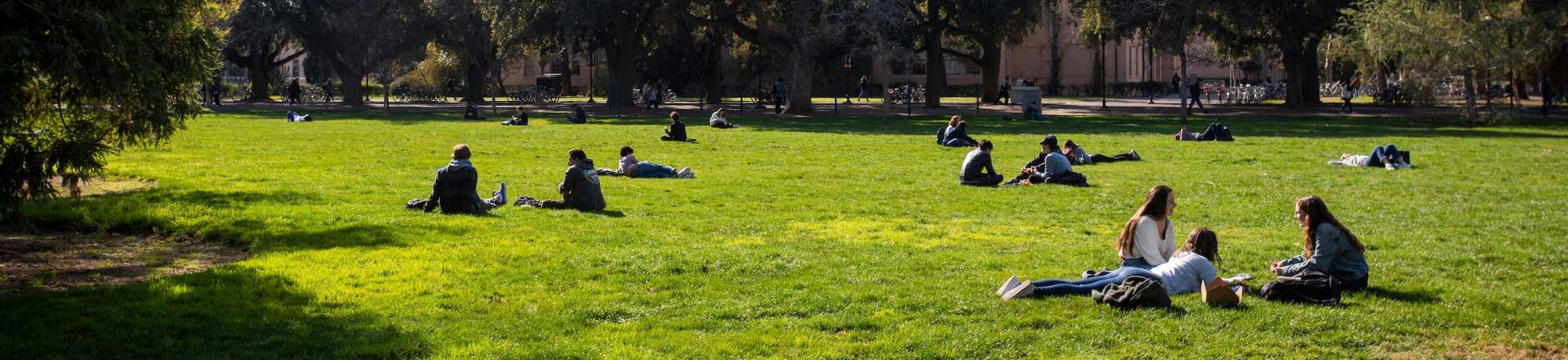 Students relax on the quad of UC Davis campus with trees in the background.