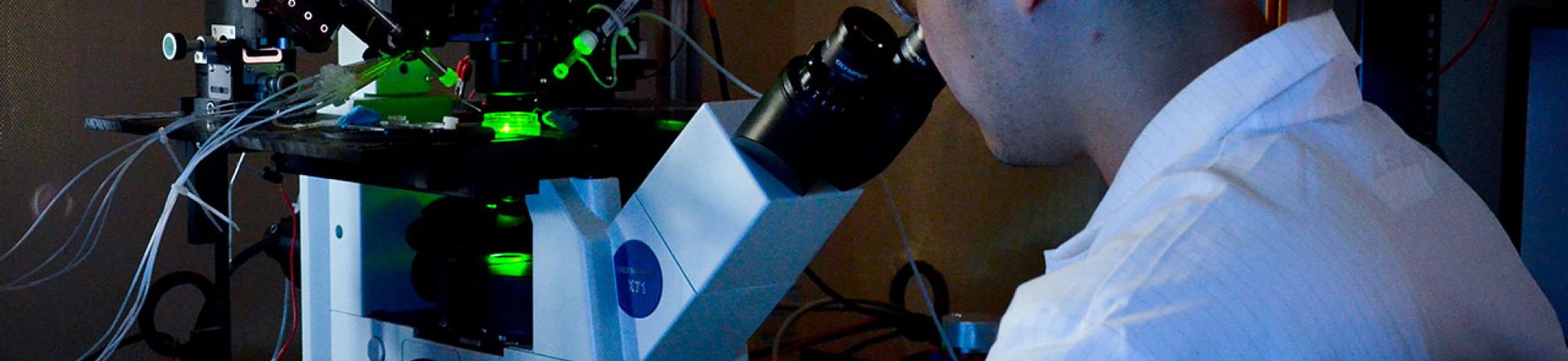 At a microscope